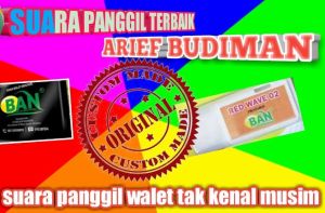 Suara Panggil Walet BLACK MAMBA by ARif Budiman ORIGINAL  JERNIH dijamin RESPON joss