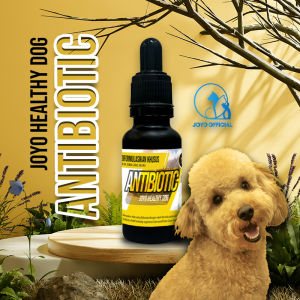 OBAT ANJING SAKIT | VITAMIN ANJING | ANJING LESU | ANJING KURANG AKTIF | HEALTHY DOG ANTIBIOTIC 20 ML