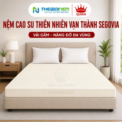 [Trả góp 0%] Nệm Cao Su Thiên Nhiên Vạn Thành SEGOVIA êm ái nâng đỡ cơ thể khi nằm.