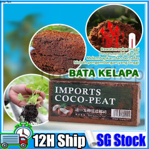 Coconut Soil Cocopeat Brick Breathable Compressed Coconut Coir Growing Medium for Gardening Planting