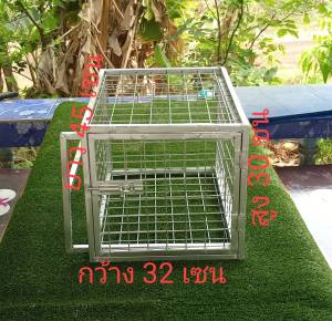 กรงบังคับฉีดยาแมว กรงบังคับฉีดยาสัตว์ จับแมวหรือสัตว์ที่ดุมาฉีดยาใช้กรงนี้ช่วยเพื่อความปลอดภัยทั้งคนและสัตว์เลี้ยง ใช้งานง่ายโครงสร้างแข็งแรงใช้งานได้ดี กว้าง 32 เซน ยาว 45 เซน สูง 30 เซน