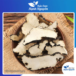 Trư linh 100g phòng chống ung thư tăng cường hệ miễn dịch chống oxy hóa