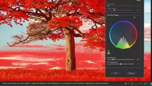 Acdsee Photo Studio 2025 v18  [Windows] Full Version  Desktop