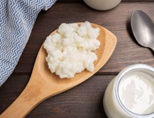 1 phần nấm sữa kefir + 1 vợt nhựa nấm sữa làm sữa chua rây lọc bằng nhựalọc trà hay lọc nấm sữa kefir rây bột