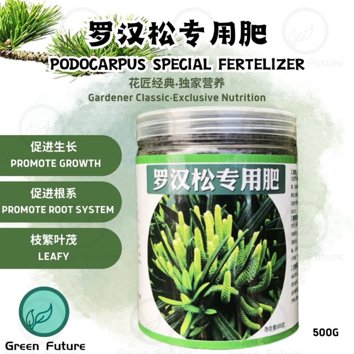 400G Podocarpus Special Fertilizer Gardening Organic Fertilizer 