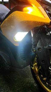Dual Contact Signal Light