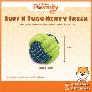 Ruff n Tugg Minty Fresh – Cool Mint Green & Ocean Blue Tugger Rope Toy for Small to Medium Breed Dogs