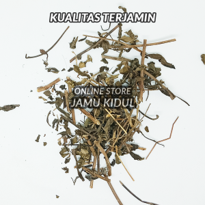 Daun Kumis Kucing Kering 1kg Asli Hutan - Lebih Berkhasiat