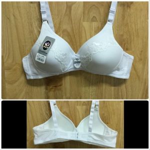 Áo Ngực Nữ - Áo Chip Không Gọng 289 cúp A cài sau mút vừa mềm mại thoải mái