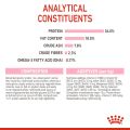 Royal Canin Kitten (10kg) Dry Cat Food - Feline Health Nutrition. 