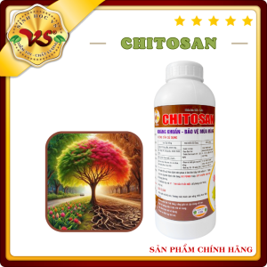 Chế phẩm sinh học NANO CHITOSAN điều hòa sinh trưởng ra rễ khỏe đẻ nhánh nhanh tăng cường miễn dịch - 1 Lít