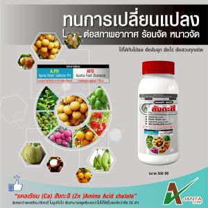 สังกะสี ปุ๋ยน้ำทางใบ แก้ปัญหาใบแก้ว ใบลาย ใบเหลือง ป้องกันต้นพืชแคระแกร็น ต้านหนาวจัด ทนร้อนจัด ขั้วเหนียว (500 ซีซี.)