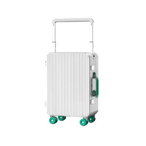 SG Stock suitcase luggage 20/24 inch laggage travel All-aluminum alloy casing TSA Customs Lock