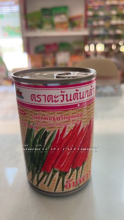 พริกลูกผสม อัมพวา ตราตะวันต้นกล้า เมล็ดพันธุ์พริกเผ็ดจัดจ้าน