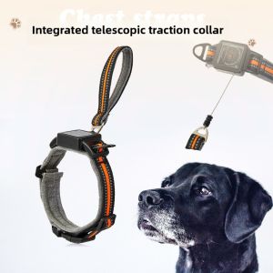 One piece dog collar with retractable steel rope pet collar wearable automatic retractable traction rope