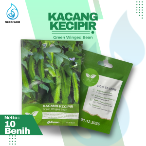 Benih Biji Bibit Kacang Kecipir Green Winged Bean Mix Garden Seed - 1 Pcs
