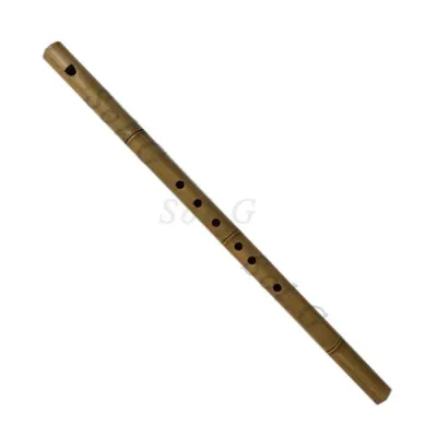 Sáo Trúc Dọc sử dụng cho người mới tập thổi sao