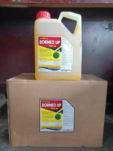 RACUN RUMPUT BORNEO UP 5L