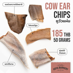หูวัวหั่นแผ่น Cow ear chips 50 กรัม Hoya Barkery ขนมน้องหมาจากธรรมชาติ 100%