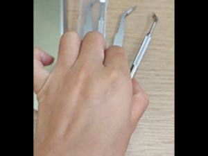 Pet Tick Xpert Removal Tool Kit Stainless Steel Fork Hook Clips