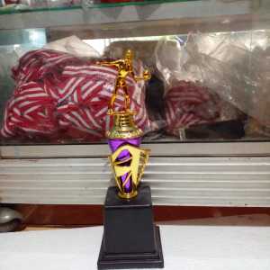 Piala Lomba Juara 1 2 3 4 (PEMAIN VOLY PUTRI BODY UNGU RASER) "costum" FREE STICKER (BOLEH satuan)TERMASUK SETICKER DAN FREE DESIGN