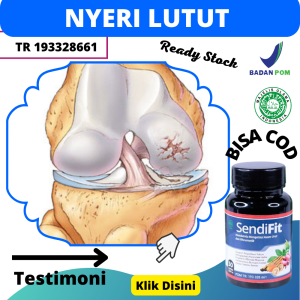 Obat Pengapuran Tulang Sendi Lutut Obat Herbal Osteoarthritis Osteoporosis Dengkul Kopong Berbunyi Lutut Bengkak Radang Lutut Pegal Linu Sakit Saat Di Tekuk Persendian Pada Kaku Suplemen Mengatasi Susah Jalan Kaki Asam Urat & Rematik - Sendifit