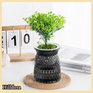 [Hilldora] Mini Tự Tưới Nước Chậu Hoa Bể Cá Nhựa Trong Suốt Nhà Máy Chậu Tự Tưới Nước Trồng Chậu Bình Cho Trang Trí Nội Thất