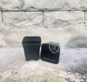 Chậu nhựa vuông  mẫu hiện đại  3 kích cỡ ! Chậu trồng sen  trồng rau  ươm mầm  trồng hoa cây kiểng  đáy thoát nước tốt