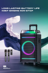 New High Power Outdoor Square Dance Karaoke Speaker with Dual Microphone Configuration + Colorful Lights Singing Trendy New Melodies
