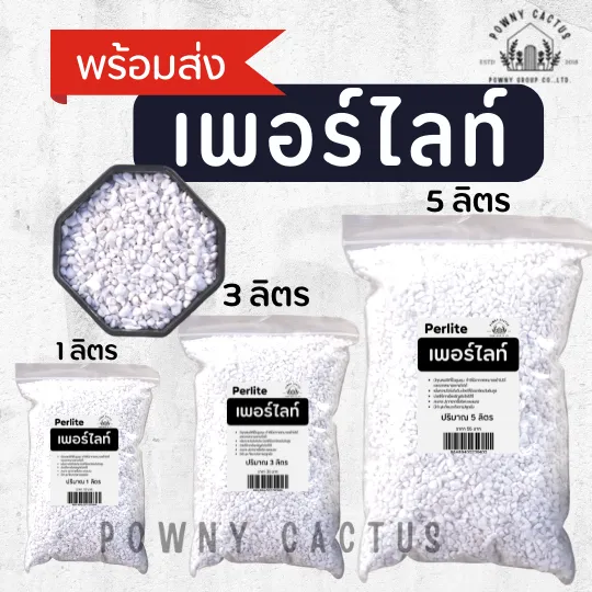เพอร์ไลท์ Perlite สำหรับแคคตัส ไม้อวบน้ำ ไม้ฟอกอากาศ ช่วยให้ดินโปร่ง