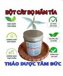 hũ 1kg bột cây bọ mắm tía