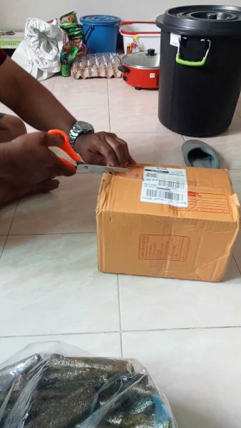 Buyer review video 4