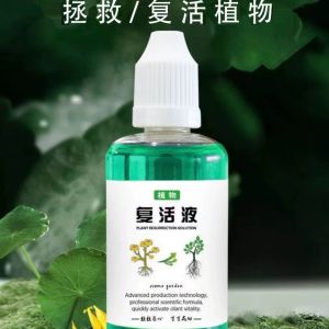 Plant resurrection liquid Solve the problem of yellow leaves and bare stems of plants