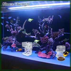 Ginca Fish Feeder For Aquarium 2025 New Fish Tank Dish Tray With Suction Cup Acrylic Fish Feeding Tube Fish Food Holder