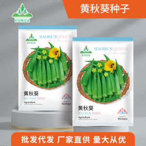 Source Factory Vegetable Seed Collection: Vegetables for All Seasons Spring Summer Autumn - Tomato Pepper Watermelon Cucumber Seeds