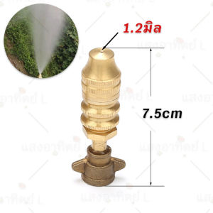 หัวพ่นจรวด หัวจรวดติดปีก หัวจรวด หัวฉีด หัวพ่นยา พ่นหมอก พ่นยา พ่นละออง 2หุน (1/4นิ้ว) พ่นหมอก พ่นละออง ทองเหลือง