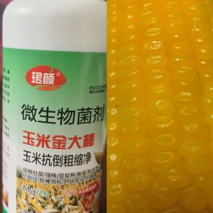 玉米叶面肥金大棒膨大素壮根壮苗抗倒伏拉长籽粒饱满增产增收