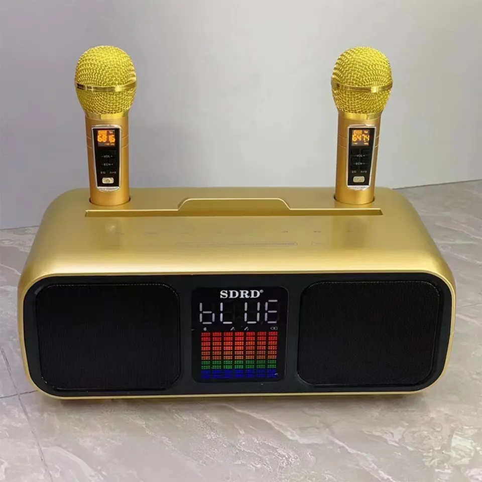 SDRD SD-318 Bluetooth Karaoke Speaker Comes with 2 Wireless