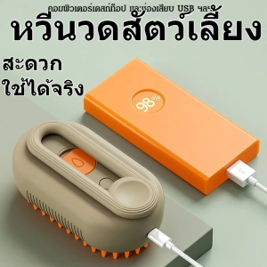 แปรงอาบน้ำไฟฟ้าสำหรับสัตว์เลี้ยงรุ่นใหม่ ป้องกันแมลงและโรคสำหรับเจ้าของสัตว์เลี้ยงทุกวัย ฆ่าเชื้อแบคทีเรียและป้องกันไฟฟ้าสถิตย์