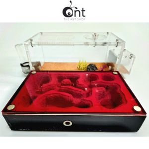 The Jumbo Formicarium 1 - Ant Farm Ant Formicarium Ant Outworld Ant Nest Ant Cages Ant Keeping The Ant Shop