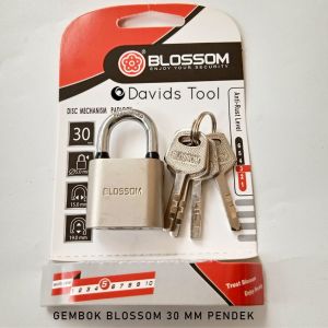 Gembok Pagar Anti Maling Karat Gudang Blossom