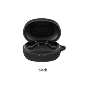 Headphone Case for Anker Soundcore LIFE P2 mini Waterproof Wireless Earbuds Case  Compatible with Anker Soundcore LIFE P2 mini  Silicone Protective Case  Earphone Accessories with carabiners with Hook