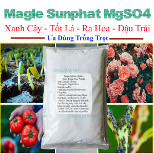 1 Kg Phân Bón Magie Sunphat 99% Bột Nhiễn Trồng Cây Xanh Lá