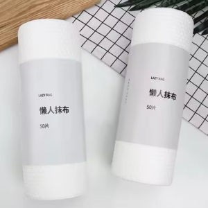 【Buy1Take1】 CASSIE Reusable Washable Lazy Rag 50pcs 20x20 Thick Cloths for Cleaning Wipes Kitchen