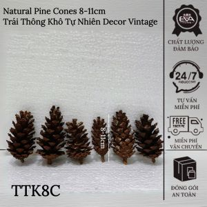 10 Quả Thông Khô Tự Nhiên Loại Lớn 8-11cm - Trái Thông Decor Cây Thông Noel Trang Trí Nhà Cửa Làm DIY