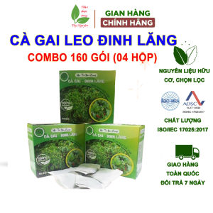 Combo 4 hộp trà túi lọc cà gai leo đinh lăng 160 gói trà cà gai leo đinh lăng Bảo Khang cho người mất ngủ thanh nhiệt mát gan