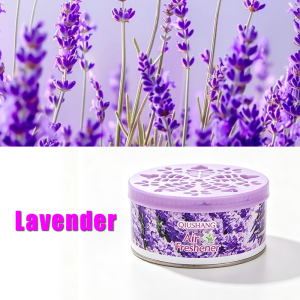 Air Freshener For Room Diffuser Long Lasting Fragrance Car Freshener New Car Scent Room Essentials Natural Solid Air Freshener