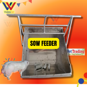 Sow feeder stainless for pig Feeder for pig feeds feeder for pig forowing pen for pig forrowing pen for pig door lock fo