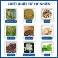 Kem nấm xanh (kem bà lão) [Nội địa Trung] bôi nấm ngứa Miêu Gia Viên tuýp nhôm - Chuyên nấm móng, nấm da đầu, viêm da cơ địa, hắc lào, nước ăn chân tay, ghẻ, chàm, viêm da, mẩn ngứa, nhiễm trùng... Thiên Châu Pharmacy. 