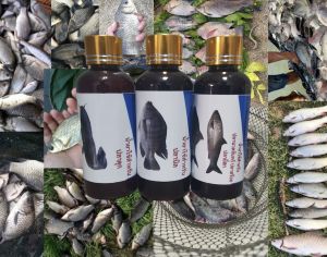 หัวเชื้อน้ำยาสำหรับตกปลา หัวเชื้อตกปลาแบบขวด หัวเชื้อตกปลา หัวเชื้อผสมอาหารปลา น้ำยาผสมอาหาร หัวเชื้อผสมเหยื่อตกปลา